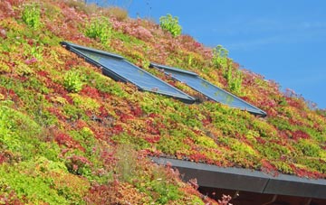 Sutton Ings living roof systems